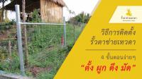 รั้วบ้าน...แบบไหนที่ประหยัดสุด