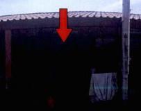 บึง ศรีราชา ชลบุรี